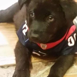 Meet your Posher, Maria